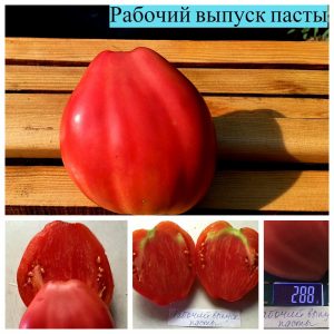РАБОЧИЙ ВЫПУСК ПАСТЫ (WORK RELEASE PASTE) - розовое сплющенное сердце