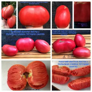 РАБОЧИЙ ВЫПУСК ПАСТЫ х ПОЛЬСКАЯ СЛИВА ТЕТИ СВАРЛО (Polish plum aunt Svarlo) - розовое сплющенное сердце
