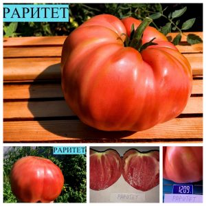 РАРИТЕТ (RARITET) - гигантский розовый бифштекс