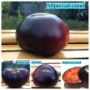 РЕБРИСТЫЙ СИНИЙ (COSTOLUTO BLUE) - чернильно-розовый бифштекс, антоциан, 10 семян 3653 РЕБРИСТЫЙ СИНИЙ томат 3653