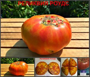 Сорт томатов РЕЛИКВИЯ РОУДС