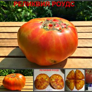 Сорт томатов РЕЛИКВИЯ РОУДС