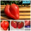 Робс - семена томата