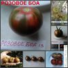 РОЗОВОЕ БОА (PINK BOAR) - розовый округлый пестрый томат