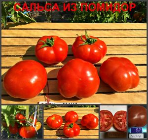 САЛЬСА ИЗ ПОМИДОР (SALSA POMODORO) - красный плоско-ребристый томат, 10 семян САЛЬСА ИЗ ПОМИДОР (SALSA POMODORO) - красный плоско-ребристый томат, 10 семян