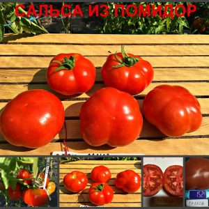 САЛЬСА ИЗ ПОМИДОР (SALSA POMODORO) - красный плоско-ребристый томат, 10 семян