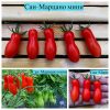 САН-МАРЦАНО МИНИ (MINI SAN MARZANO) - ранняя красная сливка, 5 семян 3783 САН-МАРЦАНО МИНИ (MINI SAN MARZANO) - ранняя красная сливка 3783