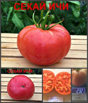 СЕКАЙ ИЧИ ПОМИДОР (SEKAI ICHI TOMATO) - ранний розовый томат, 10 семян Помидоры СЕКАЙ ИЧИ ПОМИДОР