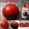 СИНЕЕ ЯБЛОКО (BLUE APPLE) - красно-синий томат, антоциан