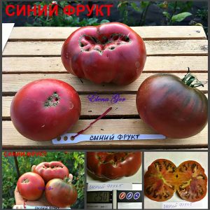 СИНИЙ ФРУКТ (BLUE FRUIT) - пурпурный бифштекс