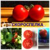 СКОРОСПЕЛКА - ультра-ранний сорт из серии "посадил и забыл"