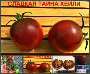 СЛАДКАЯ ТАЙНА ХЕЙЛИ (Haley's sweet mystery) - ранний шоколадный томат, 10 семян Томат СЛАДКАЯ ТАЙНА ХЕЙЛИ