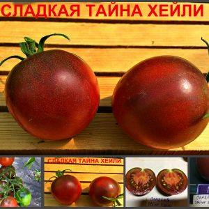 Томат СЛАДКАЯ ТАЙНА ХЕЙЛИ