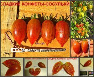 СЛАДКИЕ КОНФЕТЫ-СОСУЛЬКИ (CANDY SWEET ICICLE) - ранняя сладкая сливка-черри, сложная кисть, 10 семян СЛАДКИЕ КОНФЕТЫ-СОСУЛЬКИ (CANDY SWEET ICICLE) - ранняя сладкая сливка