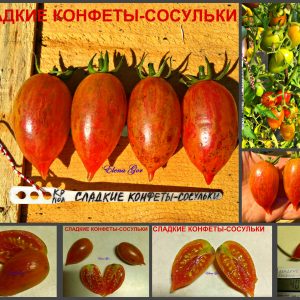 СЛАДКИЕ КОНФЕТЫ-СОСУЛЬКИ (CANDY SWEET ICICLE) - ранняя сладкая сливка
