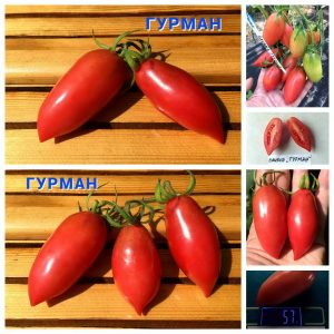 СЛИВКА ГУРМАН (CREAM GOURMET) - розовая сладкая сливка