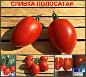 СЛИВКА ПОЛОСАТАЯ (STRIPED CREAM) - красная плотная сливка