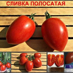 СЛИВКА ПОЛОСАТАЯ (STRIPED CREAM) - красная плотная сливка