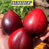 СЕРЖАНТ ПЕППЕР (SERGEANT PEPPER) - малиновое сладкое сердце, антоциан, 5 семян 11369 Сорт тматов СЕРЖАНТ ПЕППЕРС 11369