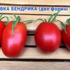 СЛИВКА БЕНДРИКА КРАСНАЯ (BENDRICK's RED PLUM) - красная урожайная сливка, 10 семян 3990 СЛИВКА БЕНДРИКА КРАСНАЯ - красный супер-урожайный трюфель 3990