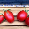 СЛИВКА БЕНДРИКА КРАСНАЯ (BENDRICK's RED PLUM) - красная урожайная сливка, 10 семян 3993 СЛИВКА БЕНДРИКА КРАСНАЯ - красный супер-урожайный трюфель 3993