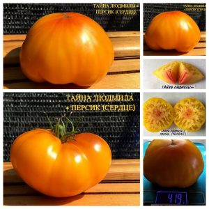 ТАЙНА ЛЮДМИЛЫ + ПЕРСИК С АНТО