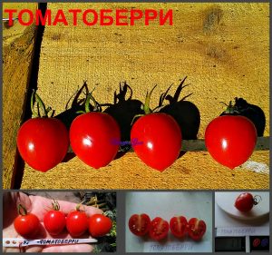 ТОМАТОБЕРРИ (TOMATOBERRY) - красный черри-клубничка, 10 семян ТОМАТОБЕРРИ (TOMATOBERRY) - красный черри-клубничка