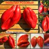 ТЮЛЬПАН РОЗОВЫЙ (TULIP PINK) - розовый сплющенный томат