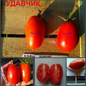 УДАВЧИК (UDAVCHIK) - красная плотная сливка