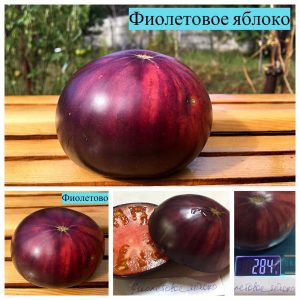 ФИОЛЕТОВОЕ ЯБЛОКО (PURPLE APPLE) - чернильный бифштекс, антоциан
