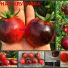 ЧЕРНАЯ КЛУБНИКА (BLACK STRAWBERRY) - ранний малиново-синий томат