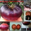 Сорт томатов ЧЕРНАЯ КРАСОТА