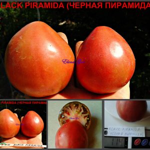 ЧЕРНАЯ ПИРАМИДА (BLACK PIRAMID) - пурпурное сердечко