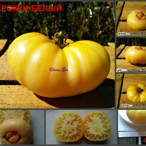 ЧЕРОККИ БЕЛЫЙ (CHEROKKY WHITE) - кремовый бифштекс