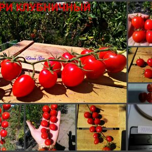 ЧЕРРИ КЛУБНИЧНЫЙ (CHERRY STRAWBERRY) - малиновая сливка