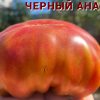 ЧЕРНЫЙ АНАНАС 6544