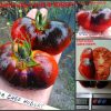 ШЕФ ЮБЕР - сорт томатов