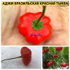 АДЖИ БРАЗИЛЬСКАЯ КРАСНАЯ ТЫКВА - красный перец острый