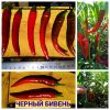 ЧЕРНЫЙ БИВЕНЬ (BLACK TUSK) - красный перец, острый