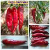 ЧУДО-ПАПРИКА перец
