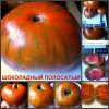 ШОКОЛАДНЫЙ ПОЛОСАТЫЙ (CHOCOLATE STRIPES) - шоколадный бифштекс, 10 семян 4523 ШОКОЛАДНЫЙ ПОЛОСАТЫЙ - томат шоколадный бифштекс 4523