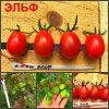ЭЛЬФ (ELFIN) - ранний красный сладкий черри