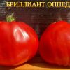 БРИЛЛИАНТ ОППЕДИСАНО (BRILLIANT OPPEDISANO) - красная гигантская слива 6124