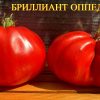 БРИЛЛИАНТ ОППЕДИСАНО (BRILLIANT OPPEDISANO) - красная гигантская слива 6125