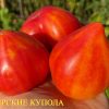 ВЛАДИМИРСКИЕ КУПОЛА (VLADIMIRAS KUPOLI) - оранжевый сладкий гигант-биколор, 5 семян 6314 ВЛАДИМИРСКИЕ КУПОЛА - оранжевый сладкий гигант 6314