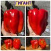 ГИГАНТ (GIANT) - красный перец, куб-конус