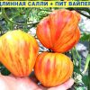 ДЛИННАЯ САЛЛИ х ПИТ ВАЙБЕР  (Long Tall Sally+Dwarf Pite Wiper) - гигант-биколор 6116