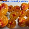 ДРАГОЦЕННЫЙ КАМЕНЬ (RED TOPPED GEM) - желто-красный округлый биколор, 10 семян 6381 ДРАГОЦЕННЫЙ КАМЕНЬ (RED TOPPED GEM) - желто-красный округлый биколор 6381