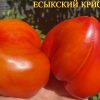 ЕСЫКСКИЙ КРИСТАЛЛ (ESYK CRYSTAL) - сладкое утонченное сердце биколор, 5 семян 6207 ЕСЫКСКИЙ КРИСТАЛЛ. НАСІННЯ ТОМАТІВ ВІД КОЛЕКЦІОНЕРІВ 6207