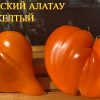 ЗАИЛИЙСКИЙ АЛАТАУ ЖЕЛТЫЙ - желтое утонченное сердце 6190